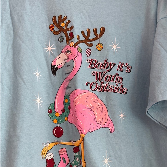 Simply Southern Women’s Teal Flamingo Christmas Tee XL - Picture 3 of 5